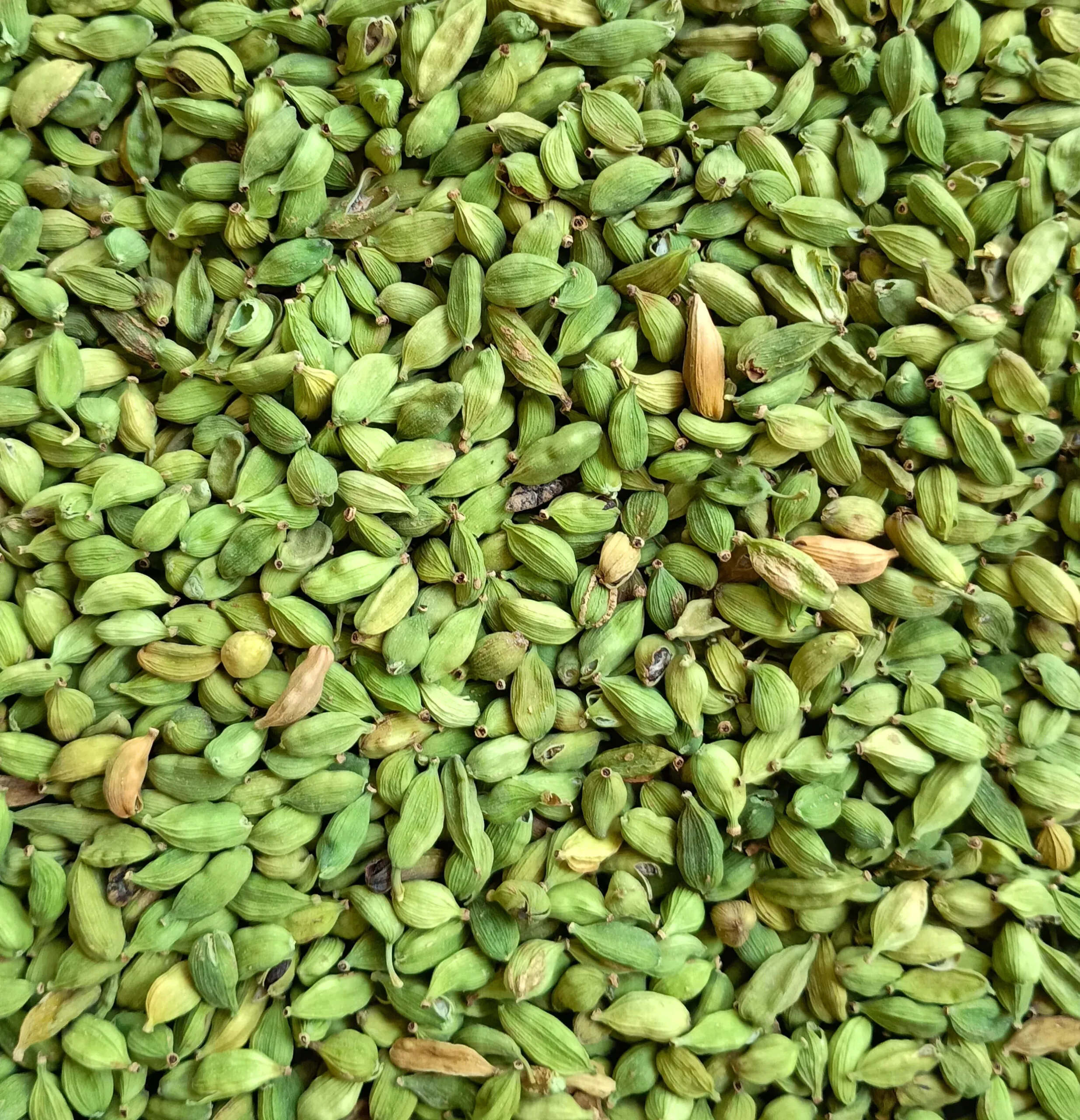 Green Cardamom