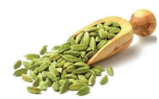 Green Cardamom